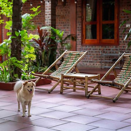 Tam Family Homestay Ninh Binh Exterior foto